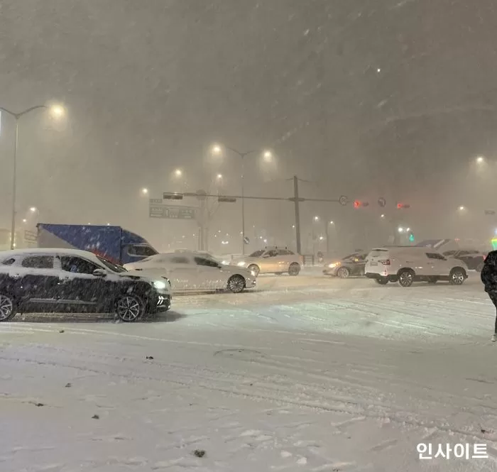 인사이트