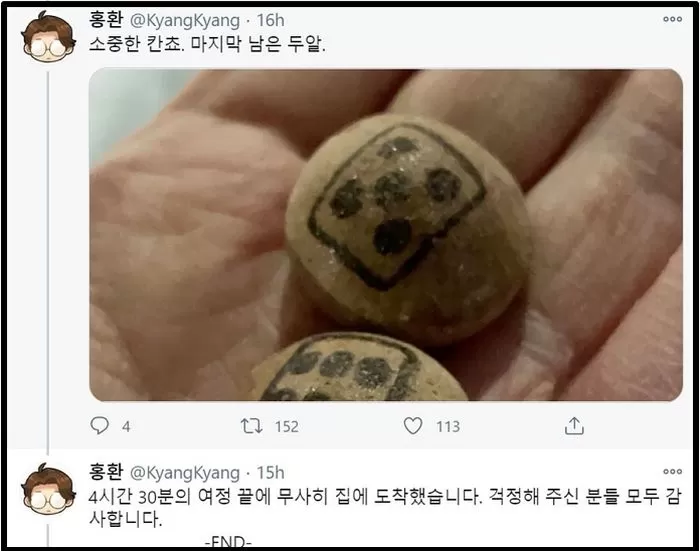 인사이트