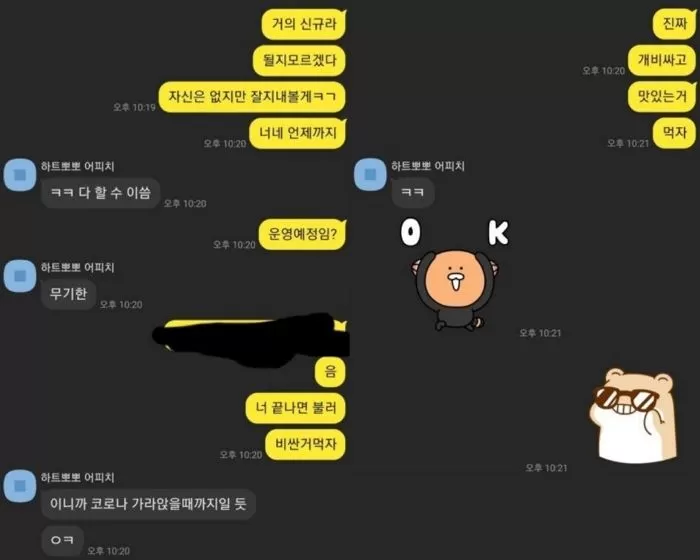 인사이트