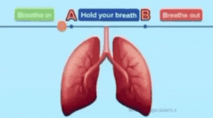 지금 보이는 ‘움짤’이 멈출 때까지 숨을 참으면 당신 폐는 1등급
