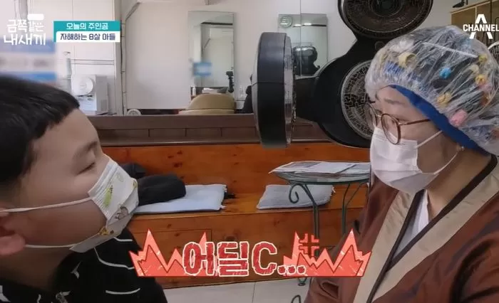 인사이트
