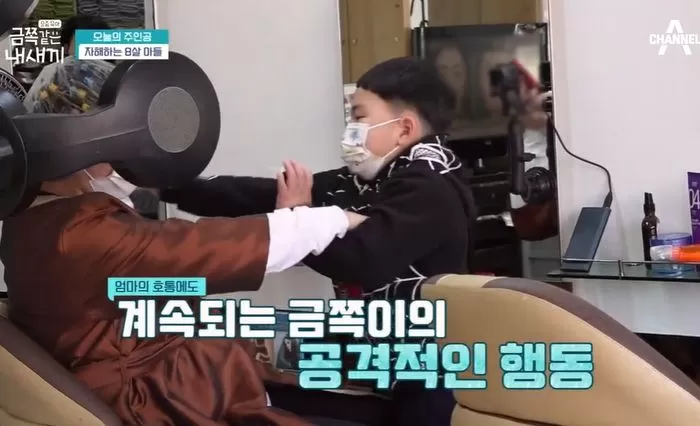 인사이트