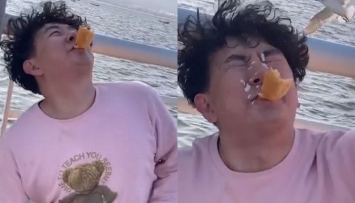 입에 빵 물고 갈매기와 ‘키스 인증샷’ 찍으려다 똥폭탄 맞은 관광객 (영상)