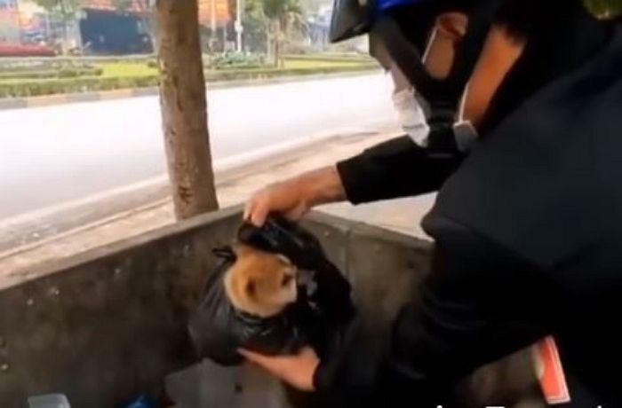도망 못 가게 강아지 네발+주둥이 꽁꽁 묶어 ‘검은 비닐봉지’에 유기한 주인