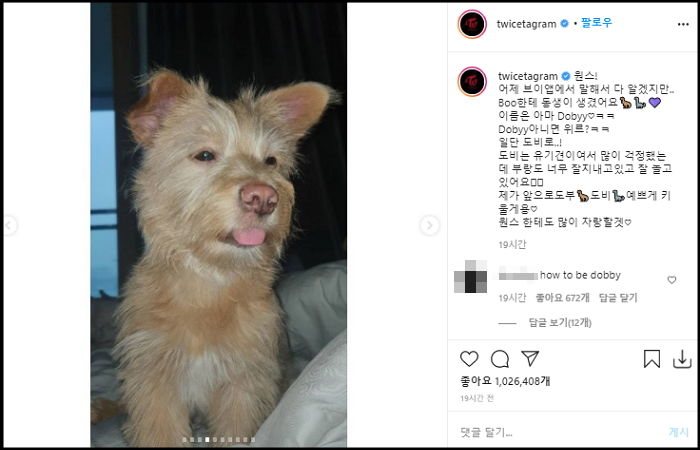 유기견 보호소서 봉사하더니 강아지 직접 입양한 ‘트와이스’ 모모