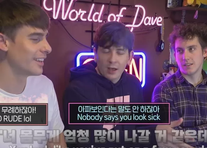 인사이트