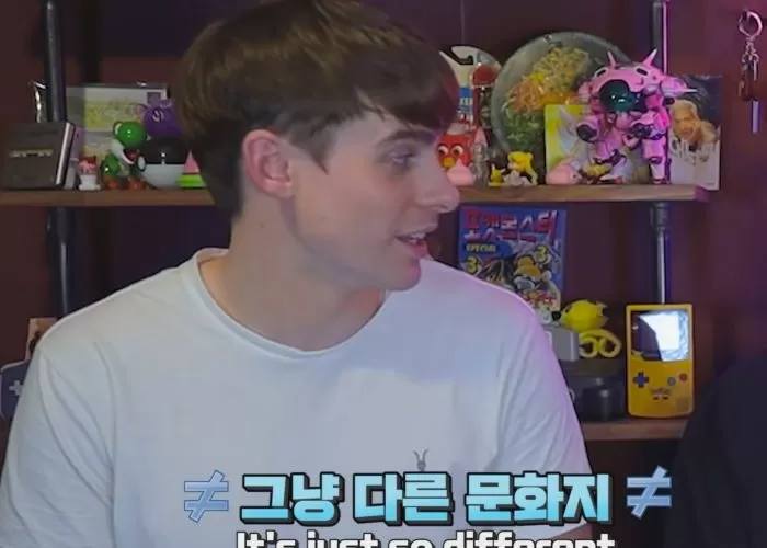 인사이트