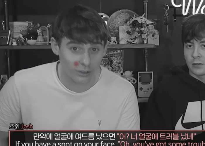 인사이트