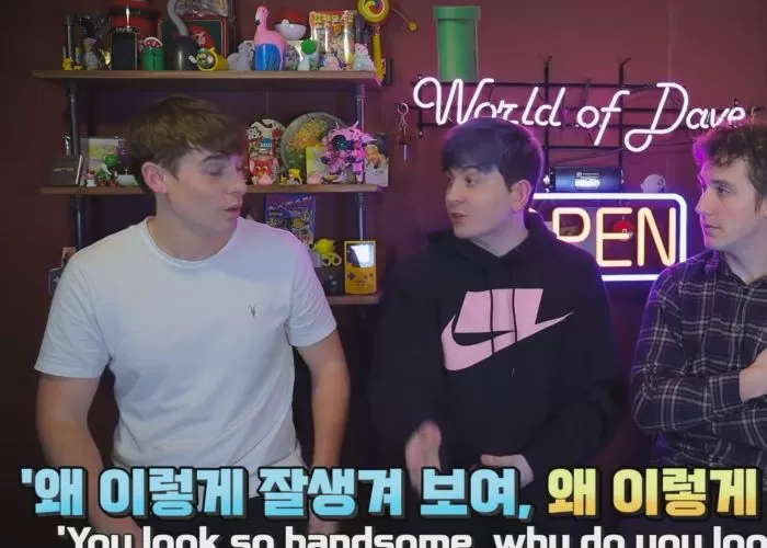 인사이트