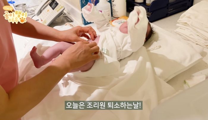 갓 태어난 아기 새근새근 잠들자 옆에서 ‘수호신’ 된 천사 댕댕이들 (영상)