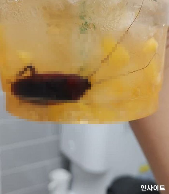 “유명 프랜차이즈 카페 복숭아 음료에서 5cm 크기의 ‘초대형 바퀴벌레’가 나왔어요”