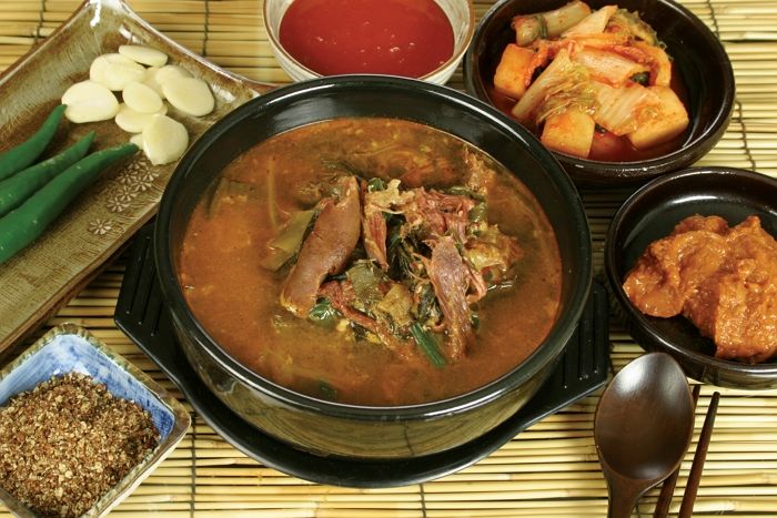 “집 비운 사이 시어머니가 반려견에게 개고기를 먹였습니다”