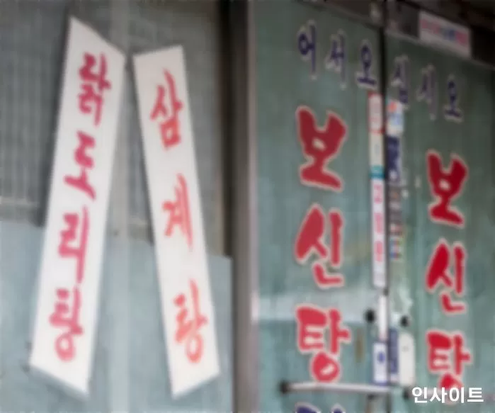 인사이트