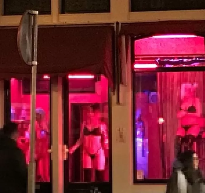 인사이트