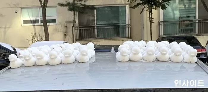 인사이트