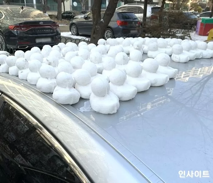 인사이트