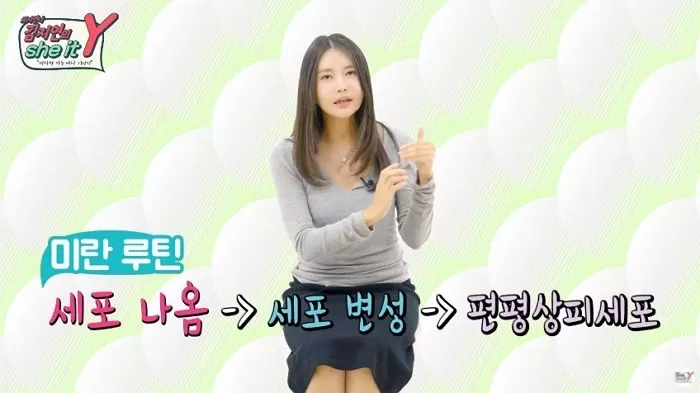 인사이트