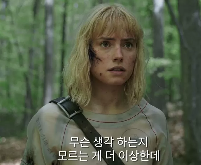 인사이트