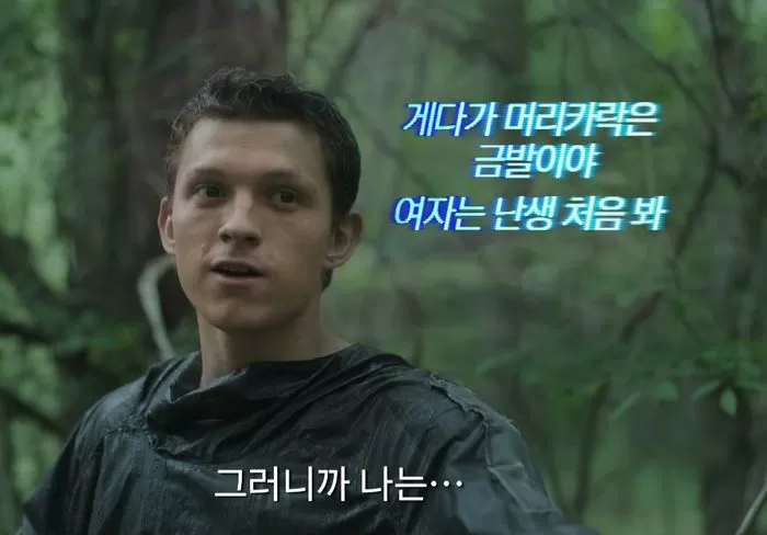 인사이트