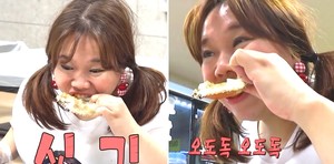 등딱지 이미지