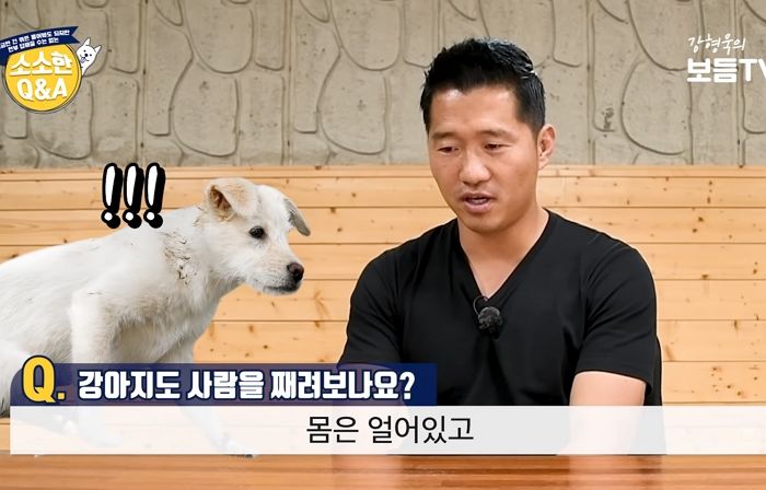 강아지가 ‘이 표정’ 자주 지으면 주인이 ‘반성’해야 하는 이유 (영상)