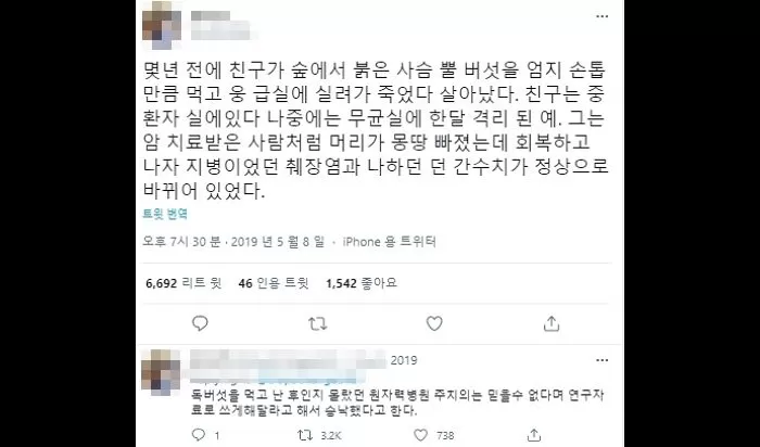 인사이트