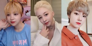 헤어포스 이미지
