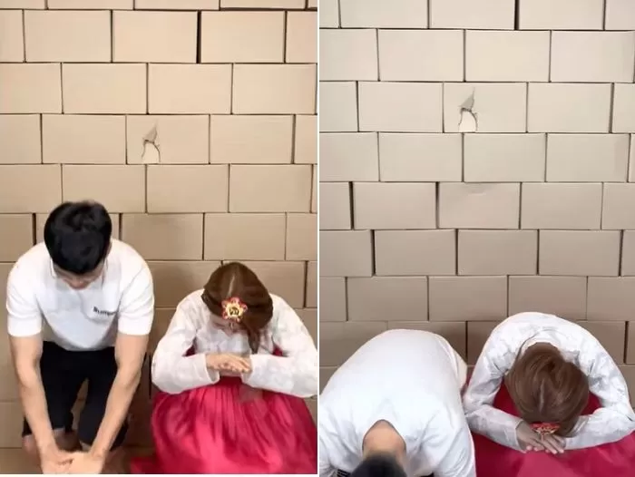 인사이트