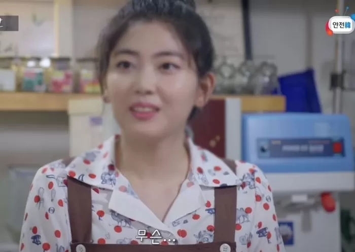 인사이트