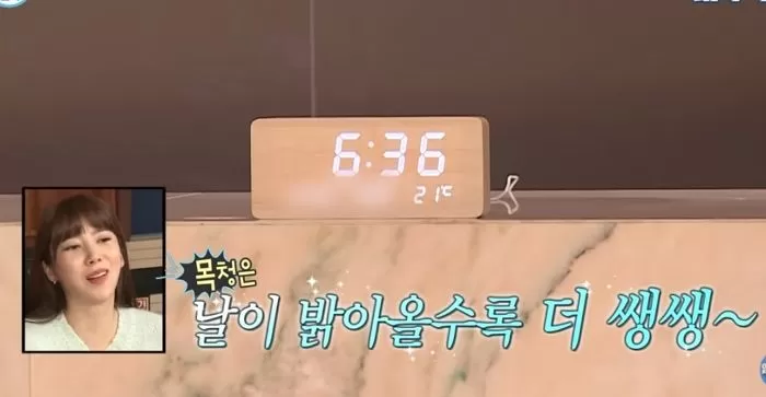 인사이트