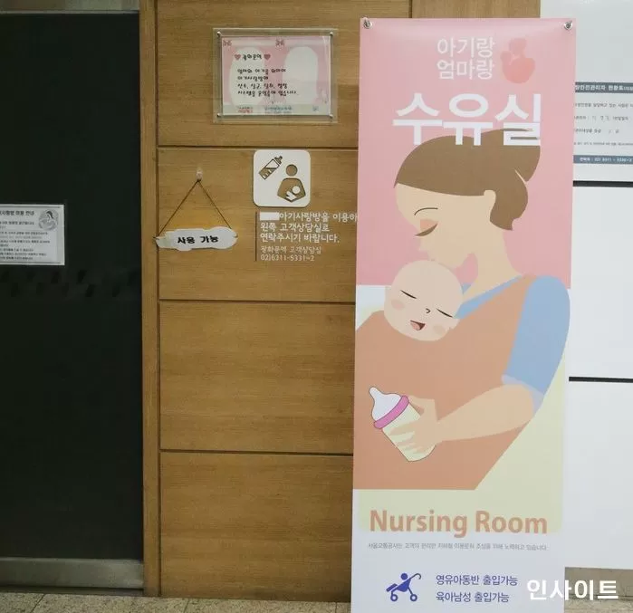 인사이트