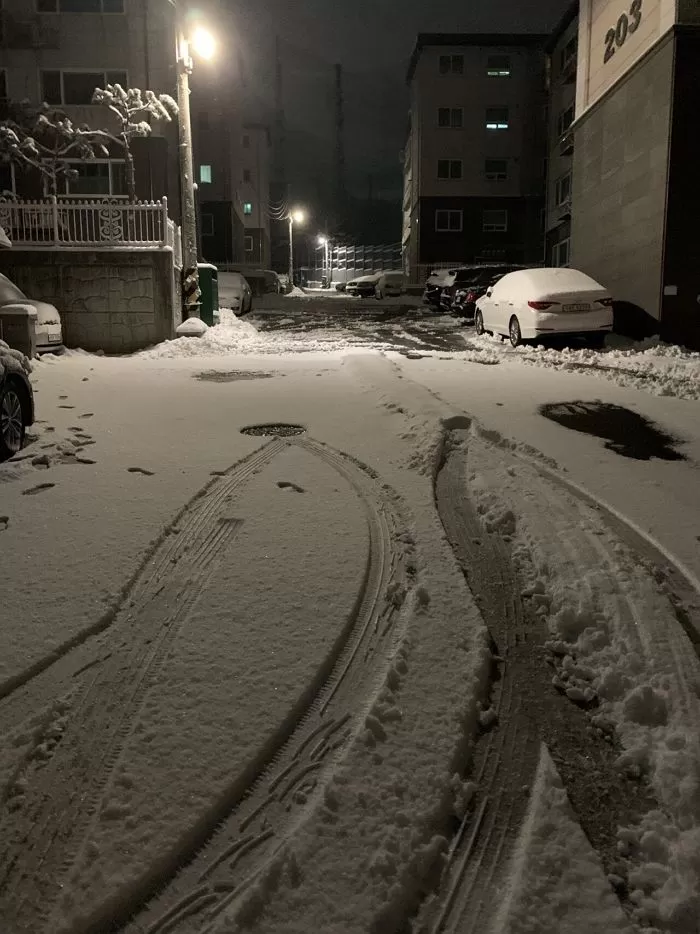 인사이트