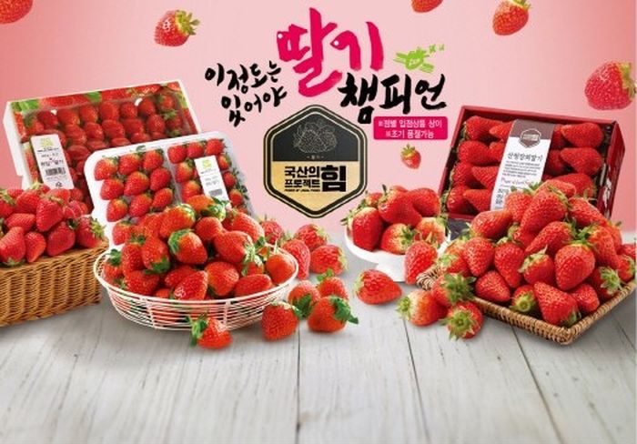 내일(18일)부터 이마트서 ‘제철 생딸기’ 역대 최대 물량 싼값에 뿌린다