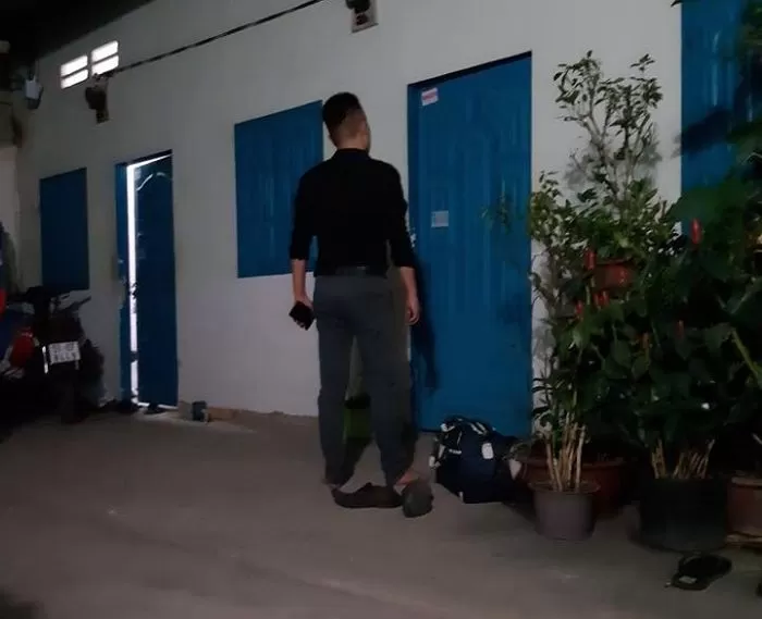 인사이트