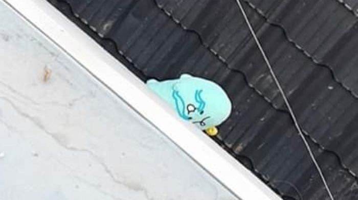 지붕에 떨어뜨린 ‘죠르디’ 구해달라는 요청에 낚시대 들고 나타난 이웃집 아저씨