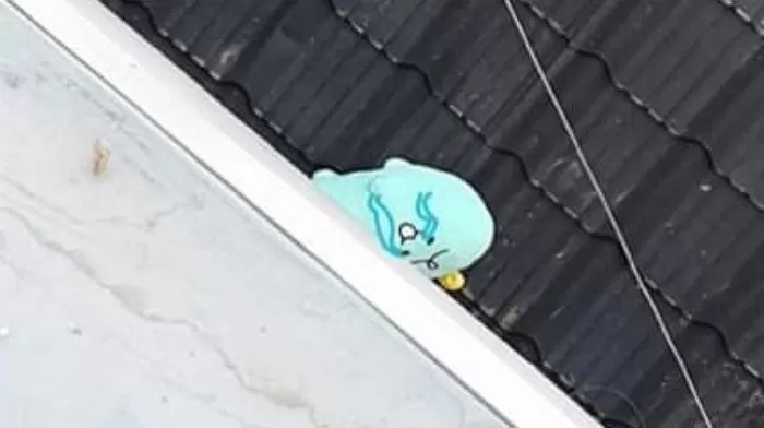 인사이트