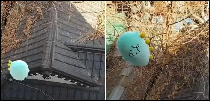 인사이트