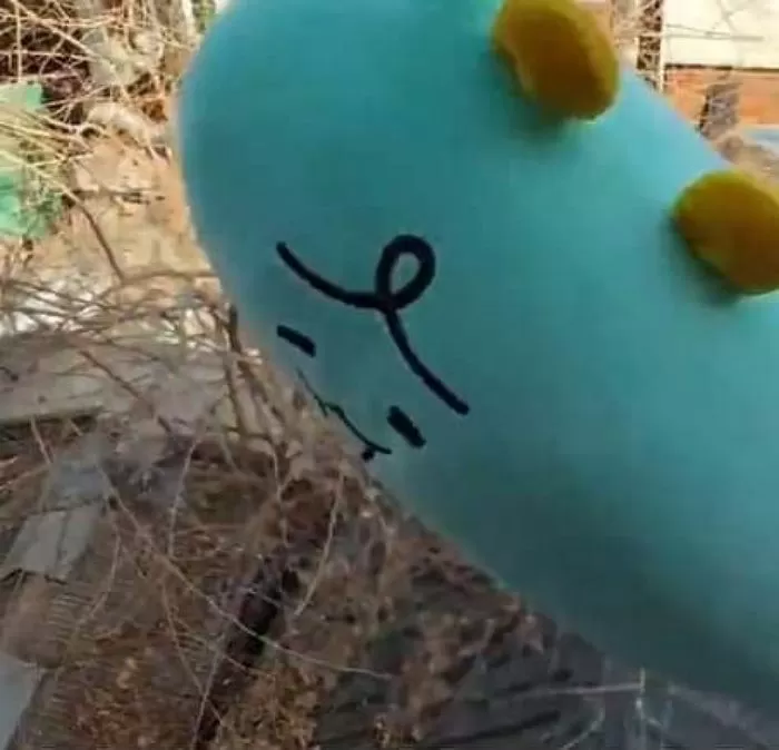 인사이트
