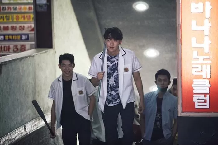 인사이트