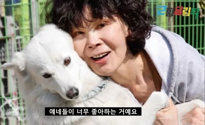 전재산 털어 강아지 돌보던 배우 이용녀의 ‘유기견 보호소’가 전부 불탔다