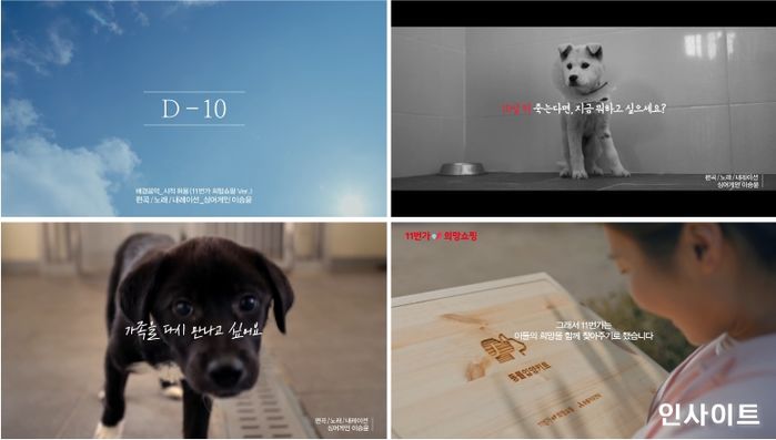 11번가, ‘싱어게인 이승윤’ 참여한 ‘유기·반려동물 캠페인’ 영상 공개