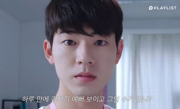 인사이트