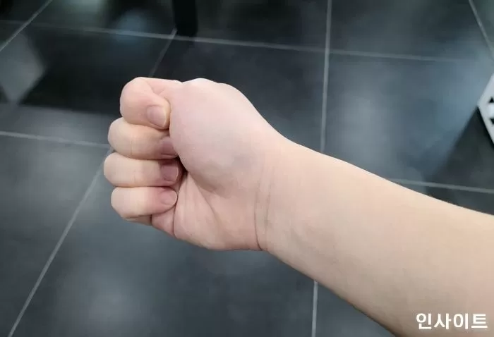 인사이트
