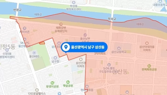 인사이트