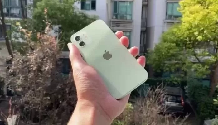 인사이트