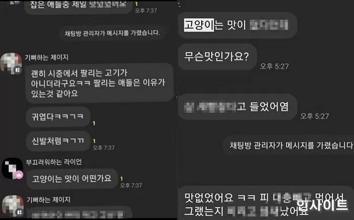 카톡 오픈채팅방 ‘고어전문방’에서 벌어진 충격적인 ‘고양이 n번방’의 실체