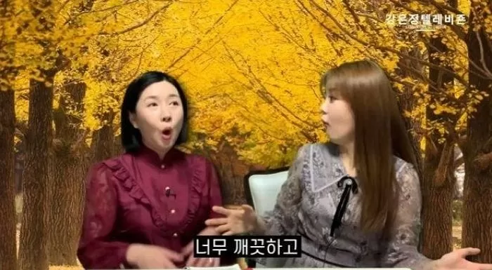 인사이트