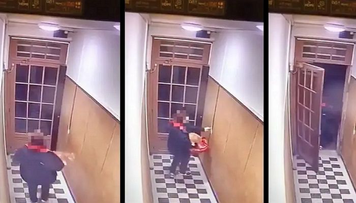 식당에 쥐 나오자 손님 집 반려묘 ‘납치’해 간 피자 배달부