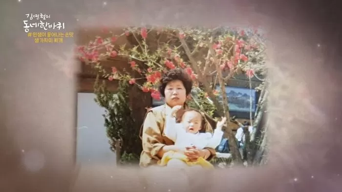 인사이트