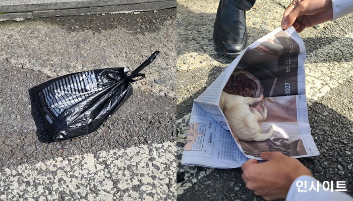 “순천대학교 골목 쓰레기통에 탯줄도 떼지 못한 새끼 강아지가 버려져 있었습니다”